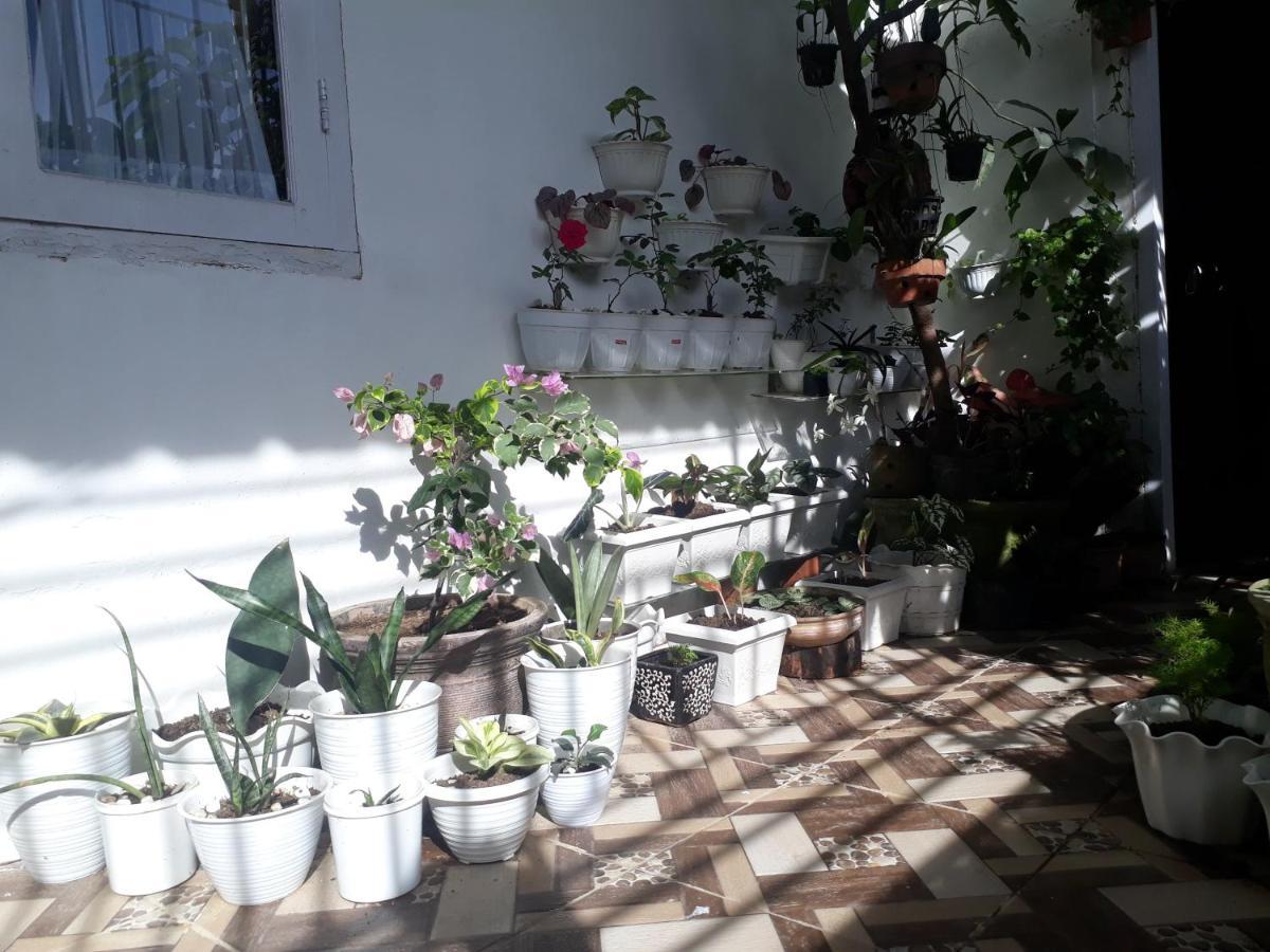 Bumimi Homestay Painan المظهر الخارجي الصورة